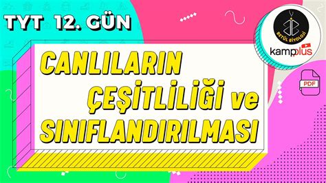 İleri Seviye Piyano Kursları