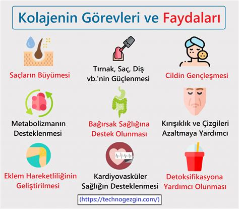 Saz İle Doğa Sesleri*