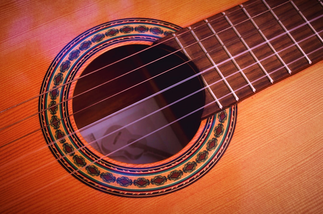 bas gitar