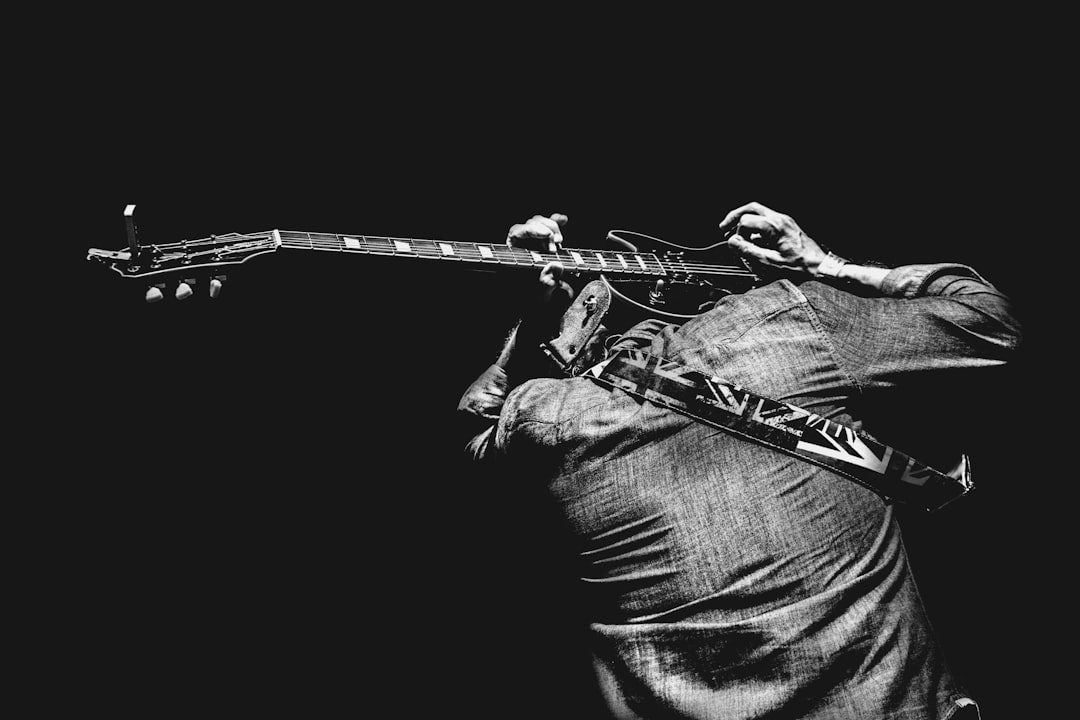 gitar kılıfı gitar kılıfı