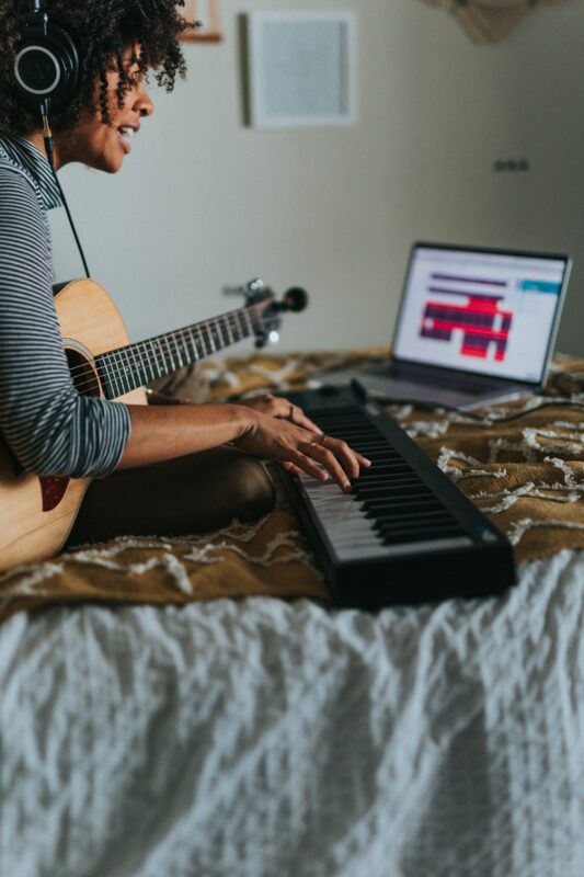gitar kılıfı gitar kılıfı