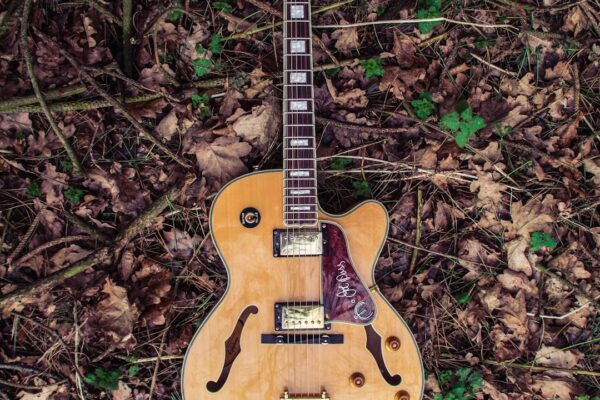 Gitar Zımparalama: Hof ve İşlem Hakkında Bilgi