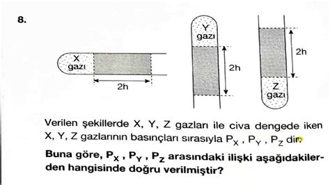 Saz Çalmayı Öğrenme