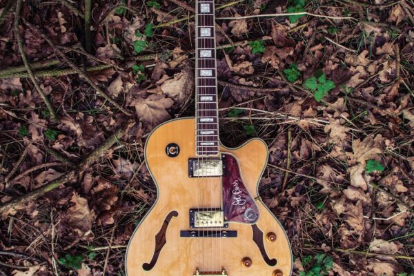 Kolay Gitar Parçaları ile Hızla Öğrenin